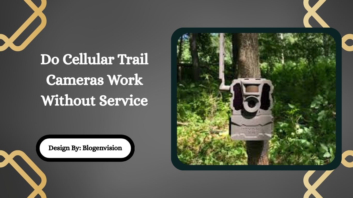 Do Cellular Trail Cameras Work Without Service