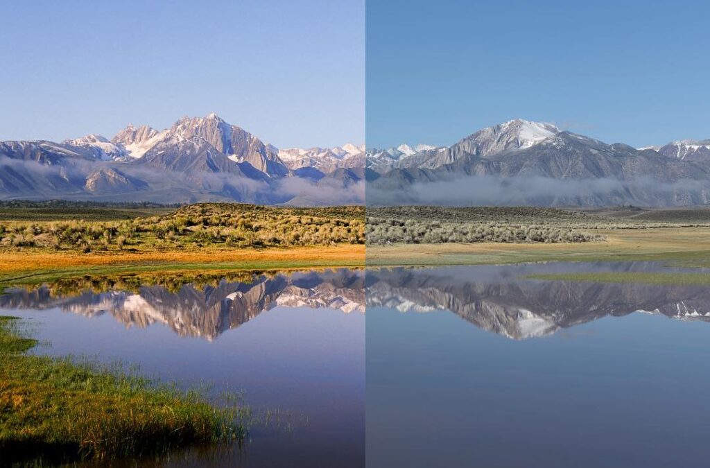 What Does "Analog" Mean in Photography?