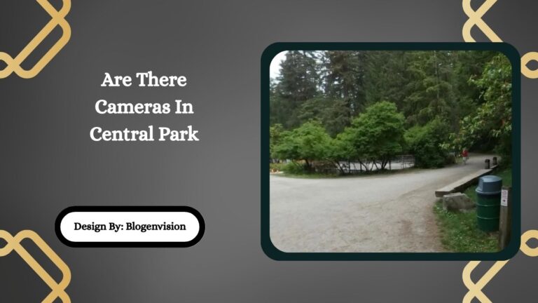 Are There Cameras In Central Park