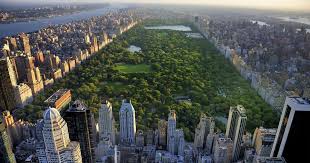 Are There Cameras in Central Park?