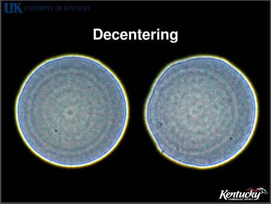 What Percentage of Camera Lenses Are Decentered?